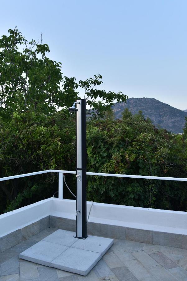 B&B Villa Gemini Sant'Agnello Bagian luar foto