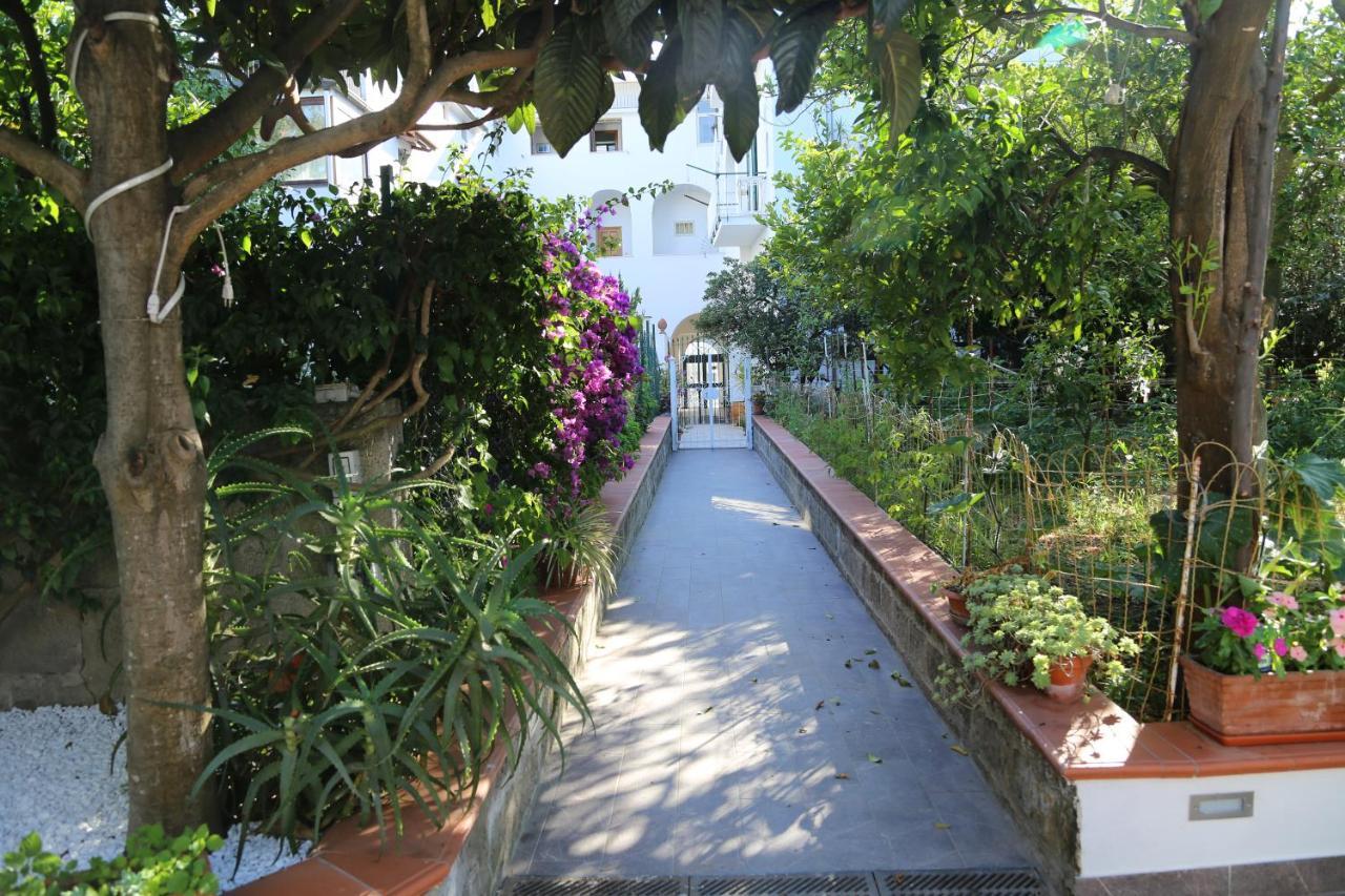 B&B Villa Gemini Sant'Agnello Bagian luar foto