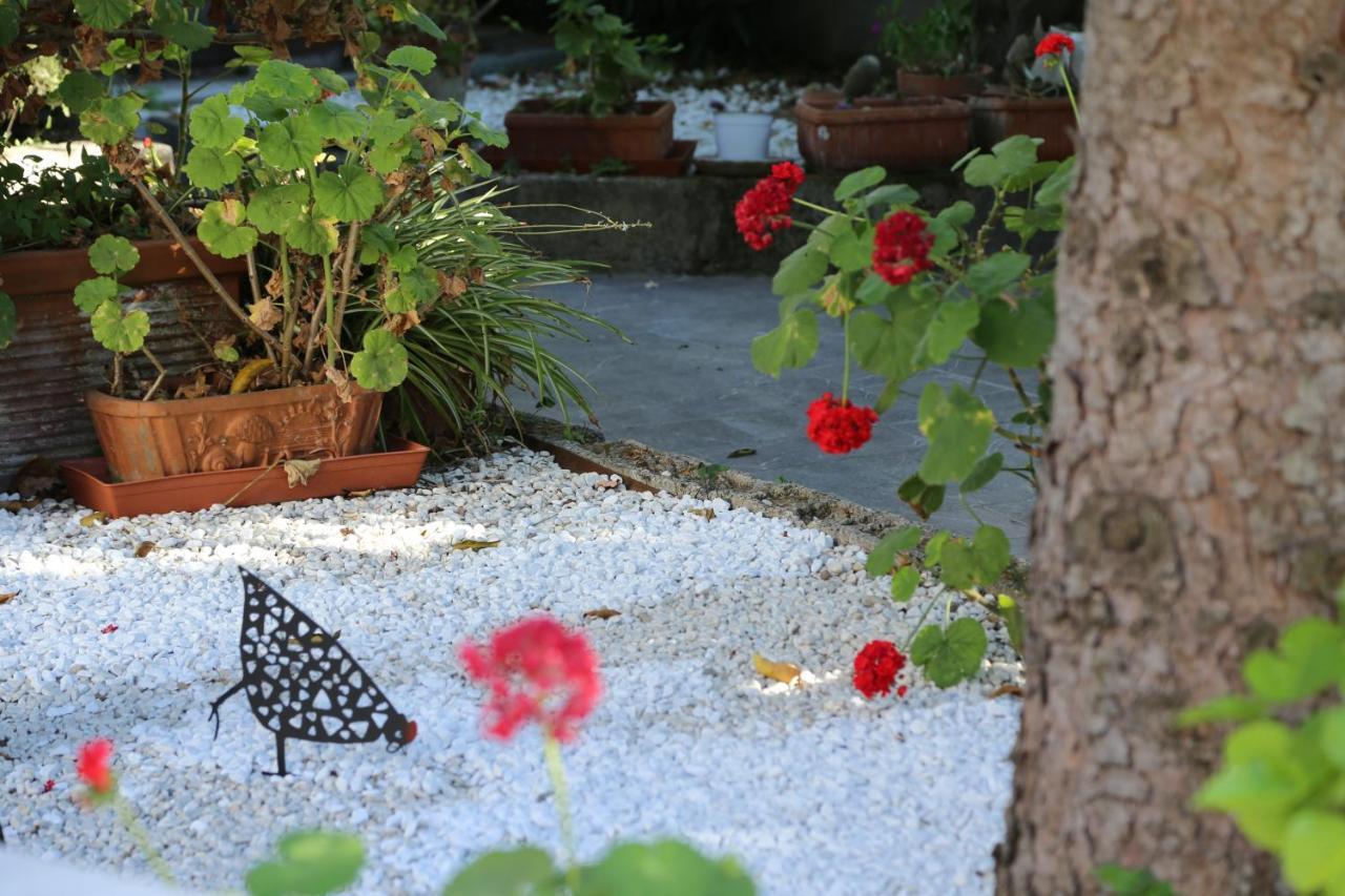 B&B Villa Gemini Sant'Agnello Bagian luar foto